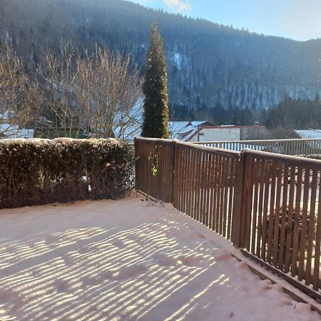 Belleview Garden Studio Appartement Sinaia Buitenkant foto