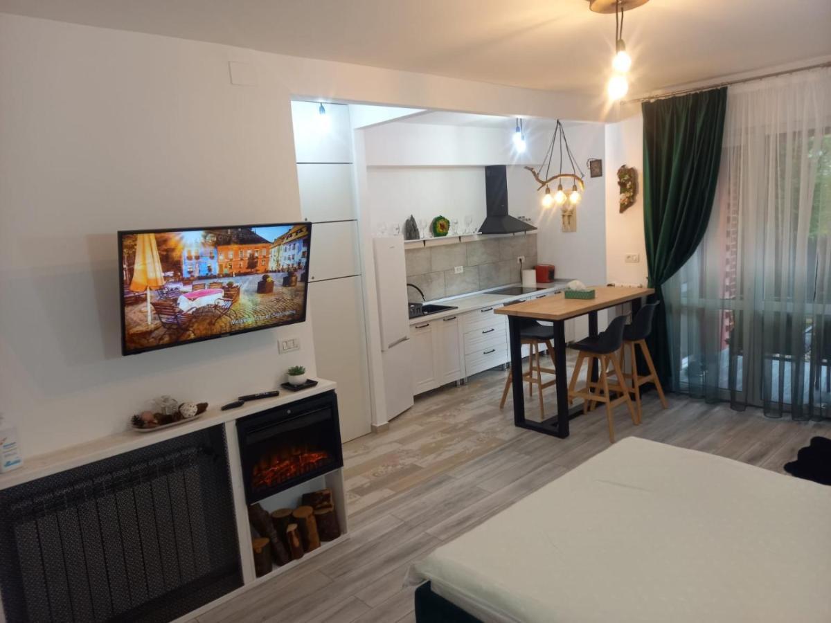Belleview Garden Studio Appartement Sinaia Buitenkant foto