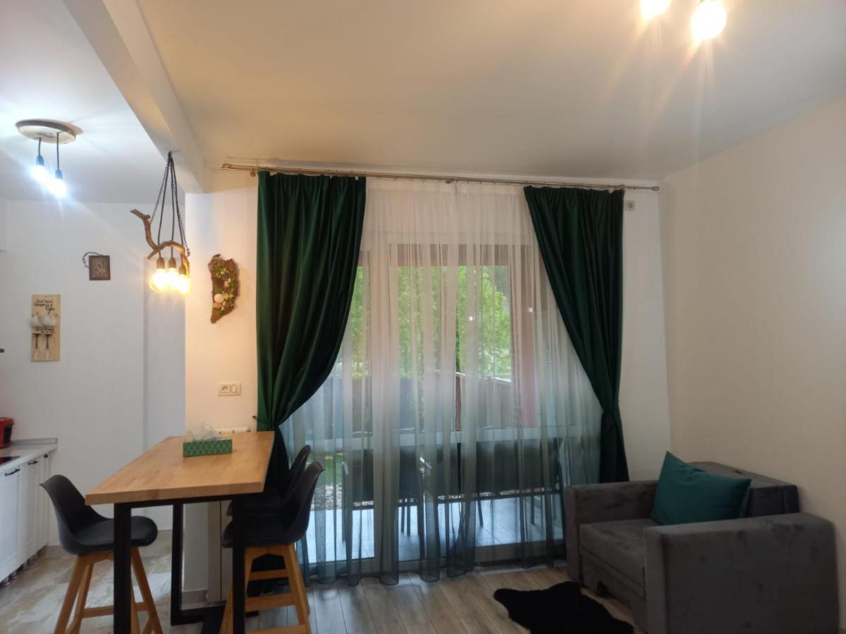 Belleview Garden Studio Appartement Sinaia Buitenkant foto