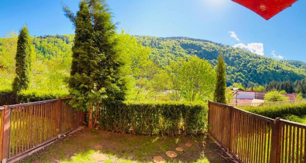 Belleview Garden Studio Appartement Sinaia Buitenkant foto