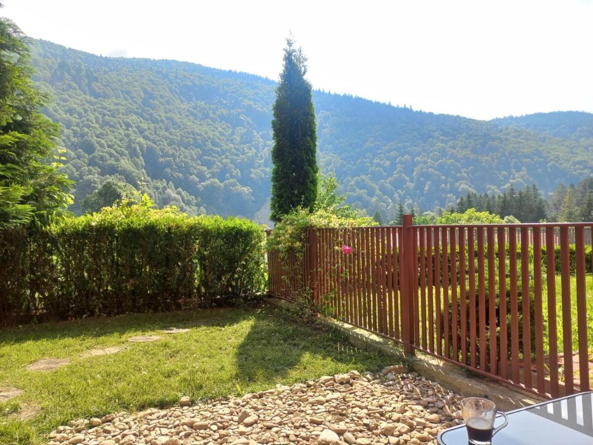 Belleview Garden Studio Appartement Sinaia Buitenkant foto
