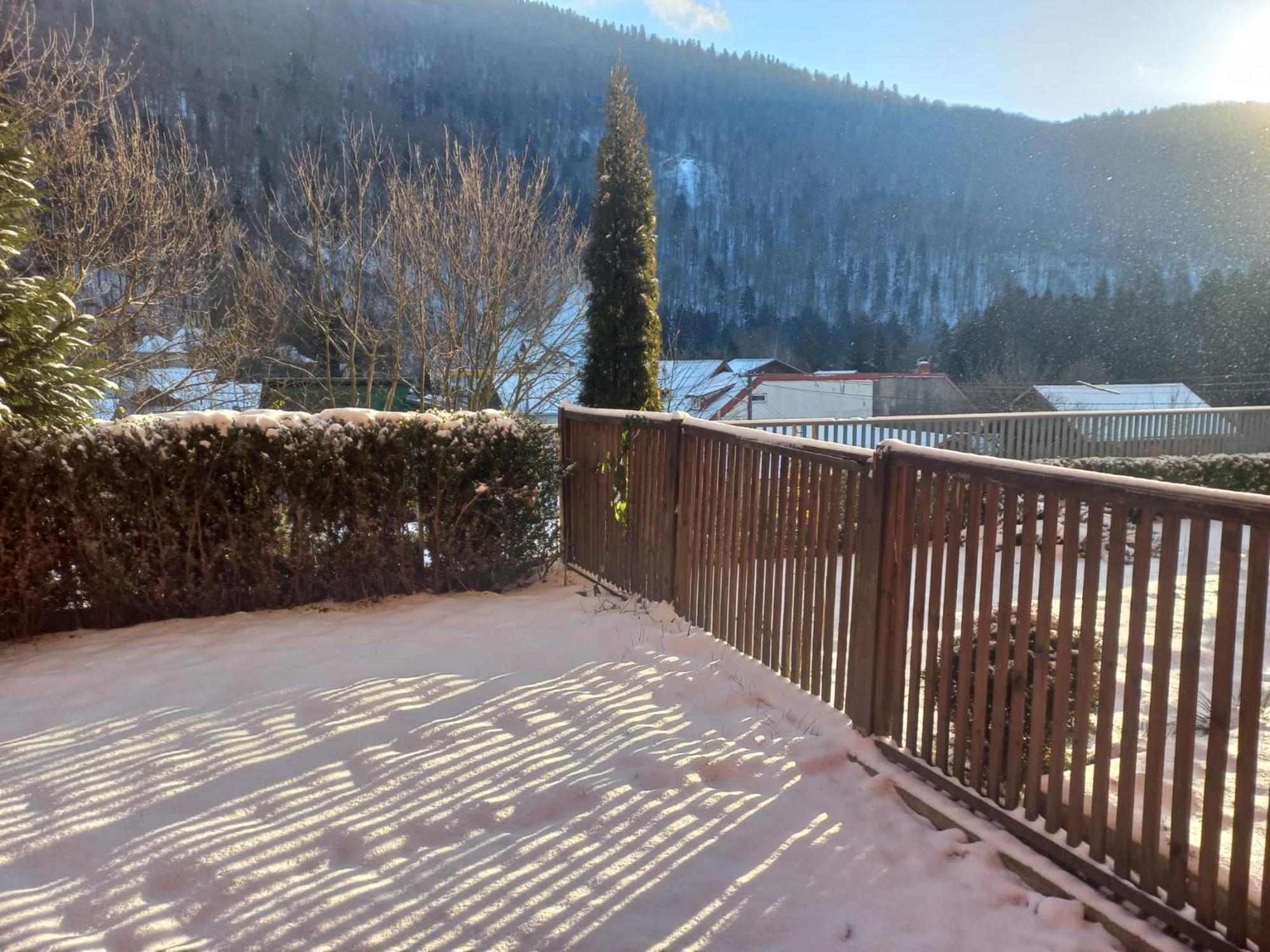 Belleview Garden Studio Appartement Sinaia Buitenkant foto